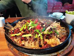 -老板恋上鱼(高新万达店)