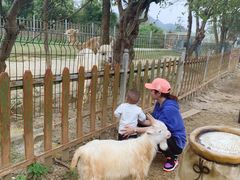 -云漫湖生态度假公园