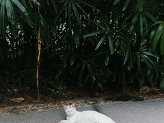 -烈士陵园(地铁站)
