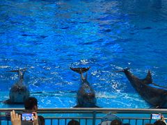 -多彩贵州城极地海洋世界