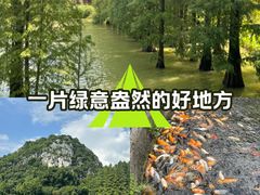 -星湖旅游景区七星岩