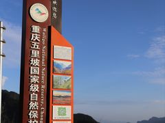 -大九湖