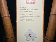 -海口观澜湖火山温泉谷