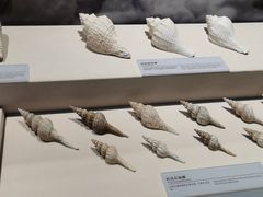 -上海中国航海博物馆