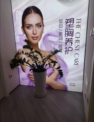 -紫琪尔·匠心连锁·胸部护理养护