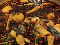 -黑竹香鸡(营和巷店)