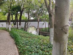 -瀛洲公园