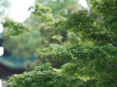 -东湖听涛景区