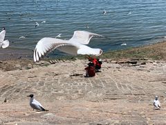 -老味道民宿(栈桥店)