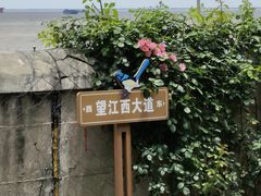 -上海滨江森林公园