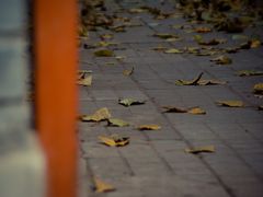 -百花深处胡同