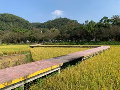 -红山村
