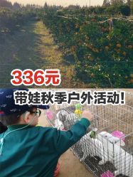 -前小桔亲子创意农场·草莓采摘·露营烧烤