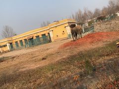 -哈尔滨北方森林动物园