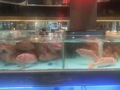 -阿伟海鲜楼·福建菜(延寿店)