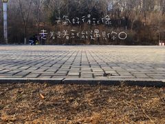 -滨河世纪广场公园