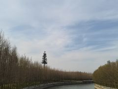 -上海山野camping·户外天幕烧烤·团建拓展营地
