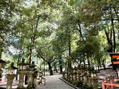 -奈良公园
