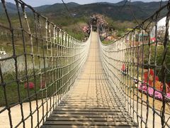 -天适樱花悠乐园