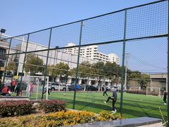 -南翔镇银翔湖公园