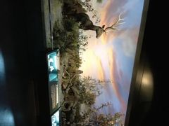 -大庆市博物馆