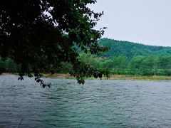 -兰河峪第117加油站