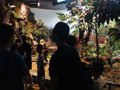 -陕西自然博物馆