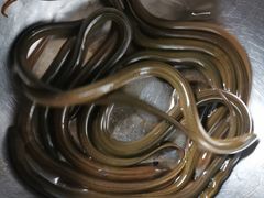 -春涛餐馆(下坝店)