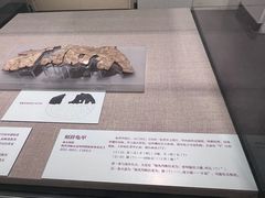-北京大学赛克勒考古与艺术博物馆