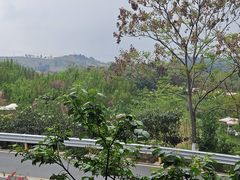 -桃源山庄·摘樱桃·柴火鸡·烧烤团建(龙泉山店)