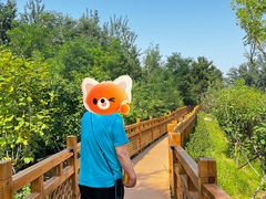 -北京大葆台遗址博物馆