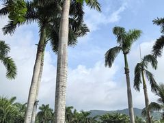 -三亚太阳湾柏悦酒店
