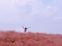 -嘉北郊野公园