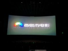 -保利国际影城(中环店)