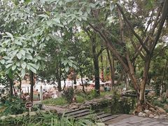 -成都市活水公园