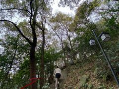 -道教老君洞