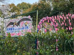 -自然谷恐龙园