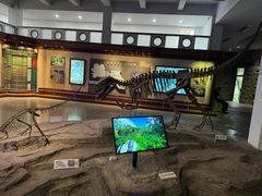 -自贡恐龙博物馆