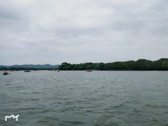 -西湖外事游船(花港观鱼码头)