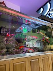 -雕哥的纹身店A3 TATTOO&纹身培训