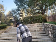 -苏州河梦清园环保主题公园