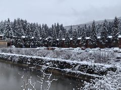 -武陵山森林公园