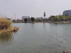 -桂溪生态公园