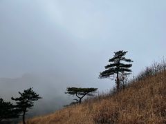 -萍乡武功山风景名胜区