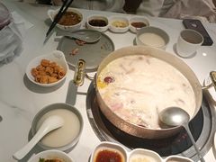 -洪氏嗨捞·广东猪肚鸡·椰子鸡火锅(西咸万象城店)