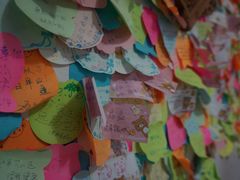 DSC01991-田记宫廷奶酪