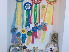 大堂-Husky Go! 哈士奇体验馆·宠物咖啡厅狗咖