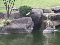 -厦门悦华酒店