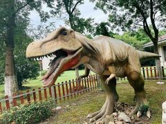 -上海海湾国家森林公园