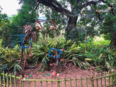 -华侨城湿地公园